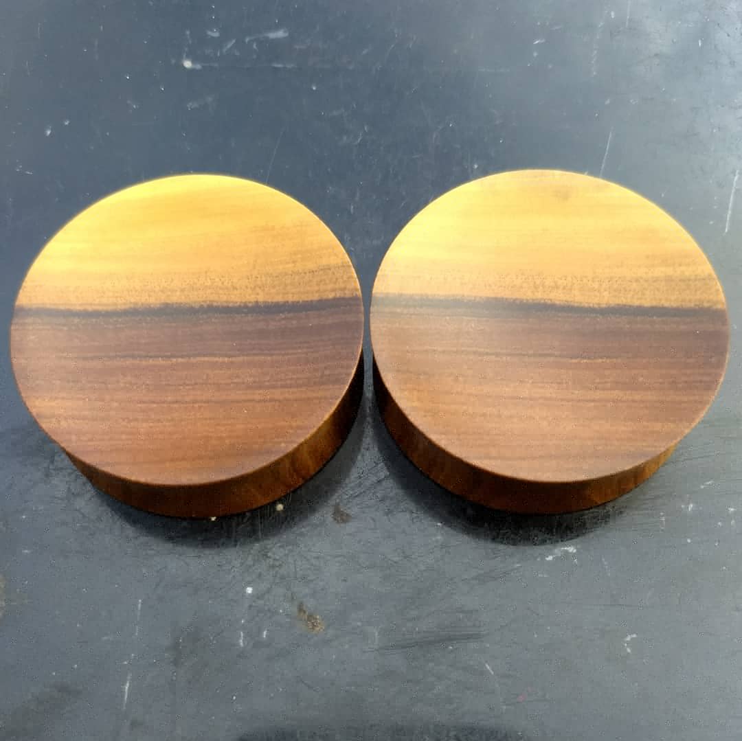 Lignum Vitae Concave Plugs