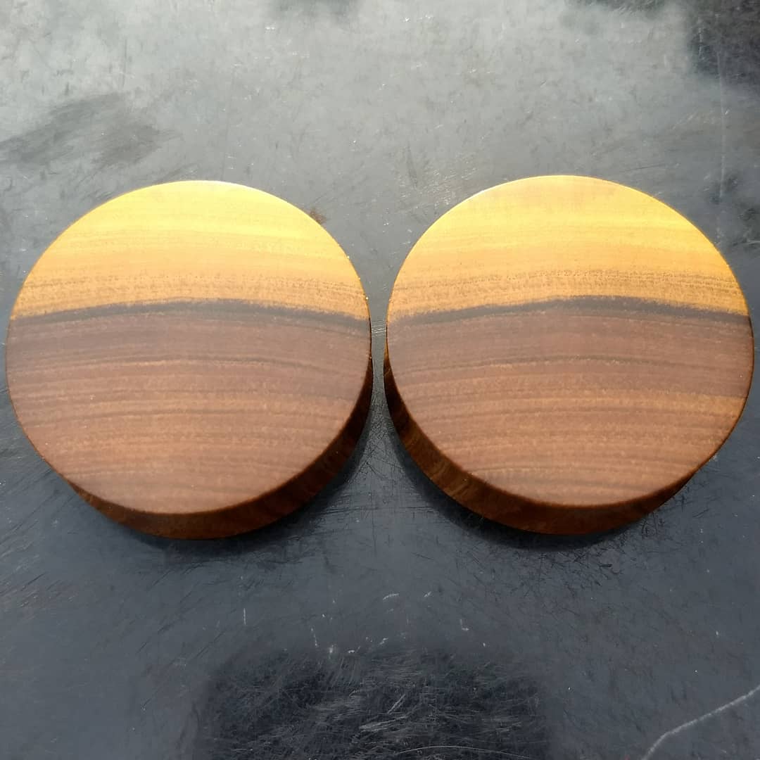 Lignum Vitae Plugs